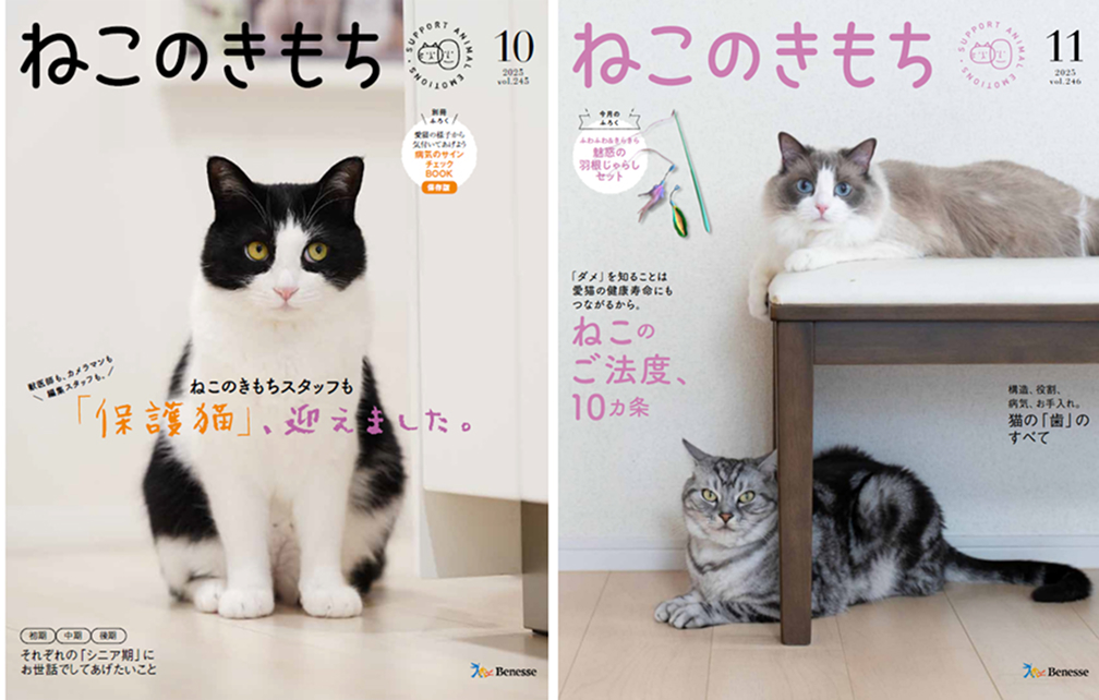 ねこのきもち 掲載実績